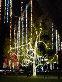 A detail from the amazing light display downtown in City Park