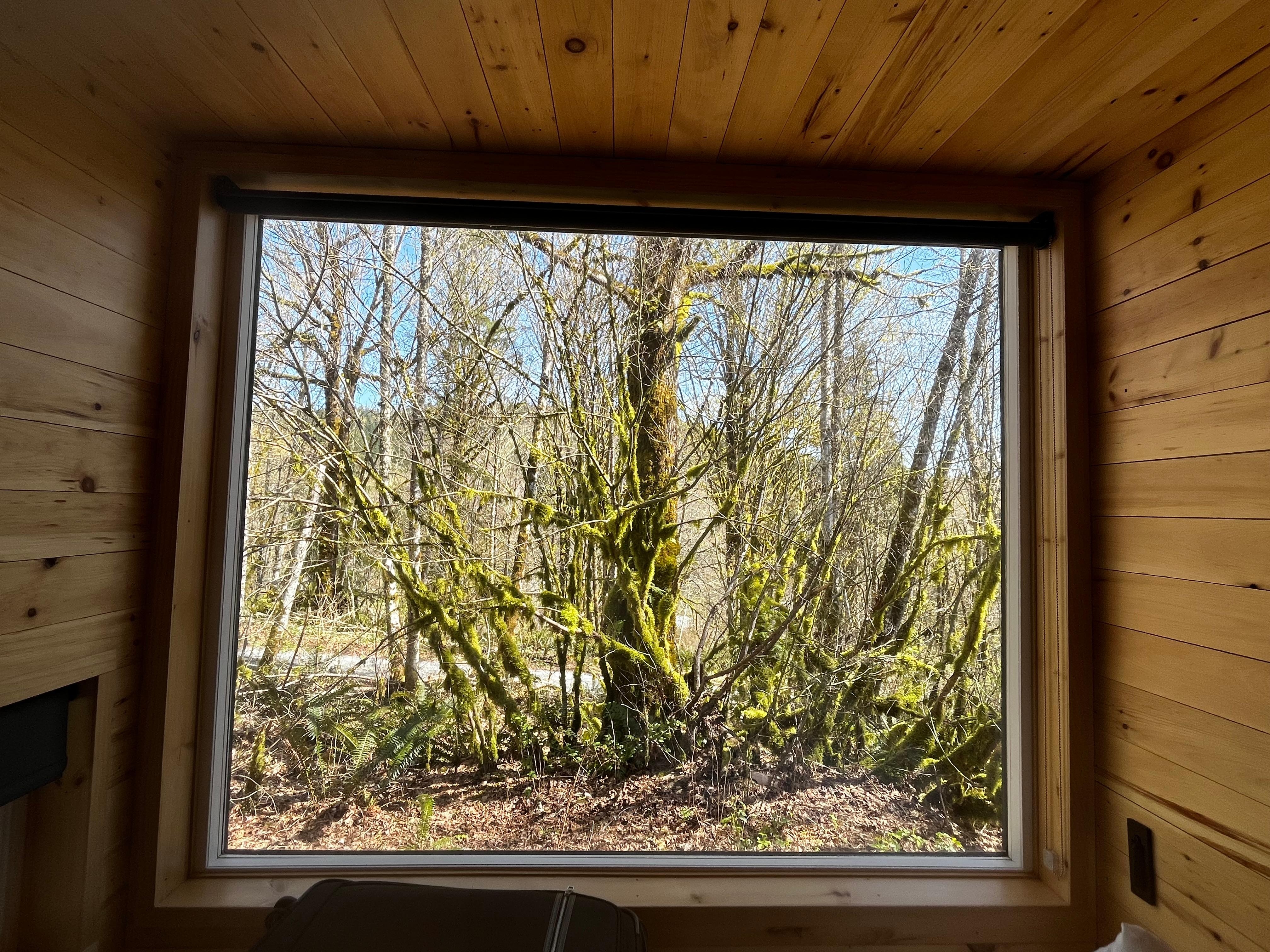 My morning wake-up view