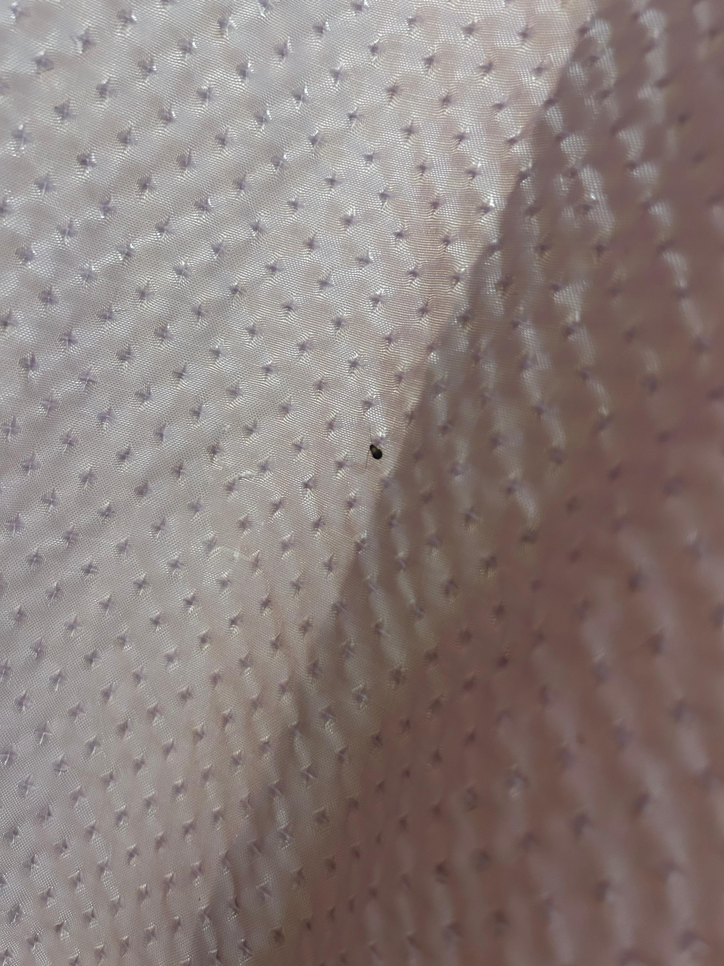 This is 1 of so many not only baby roaches but medium size too in restroom. 