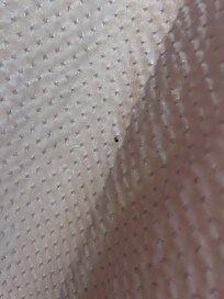 This is 1 of so many not only baby roaches but medium size too in restroom.