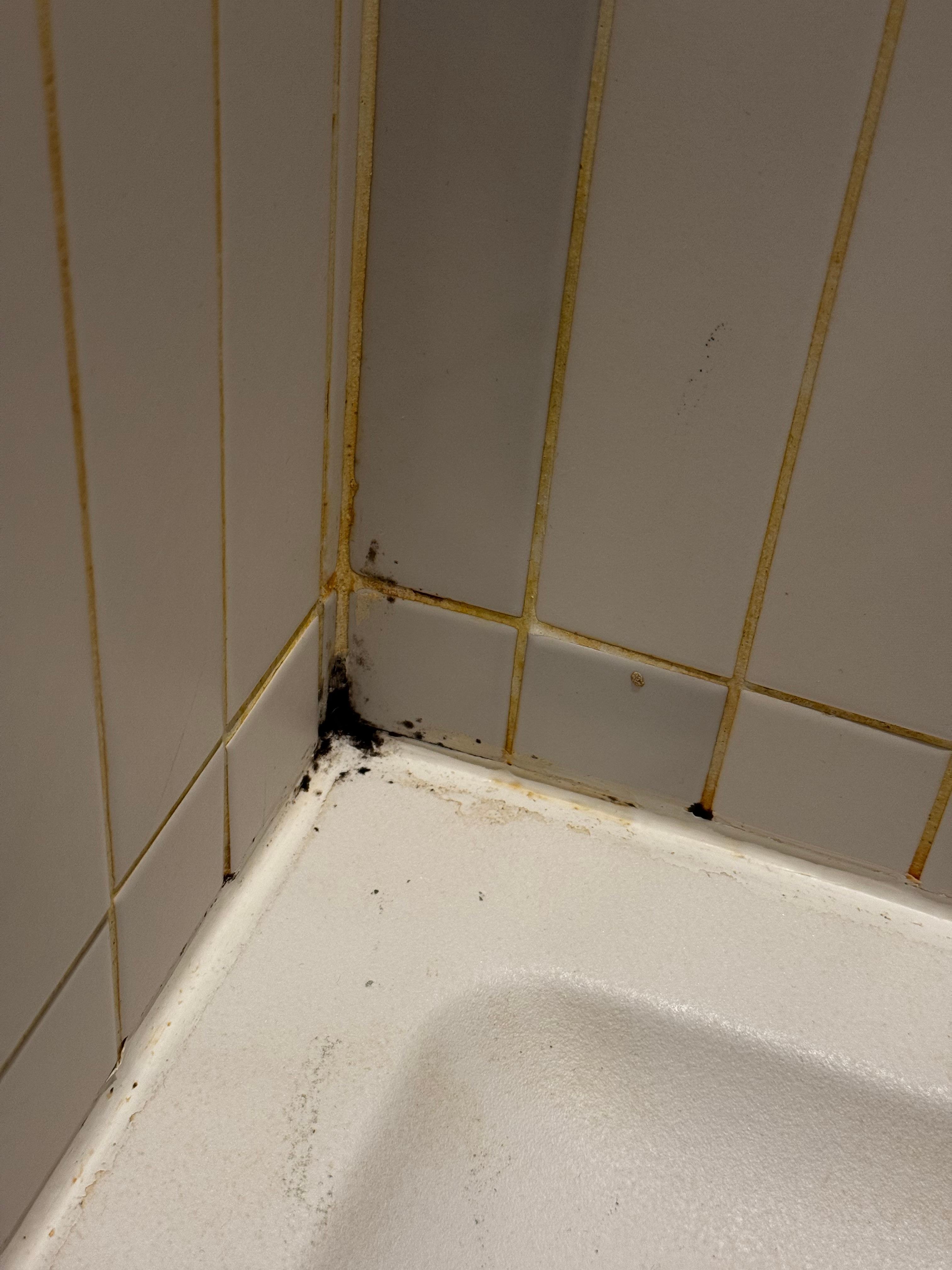 Mould in shower 