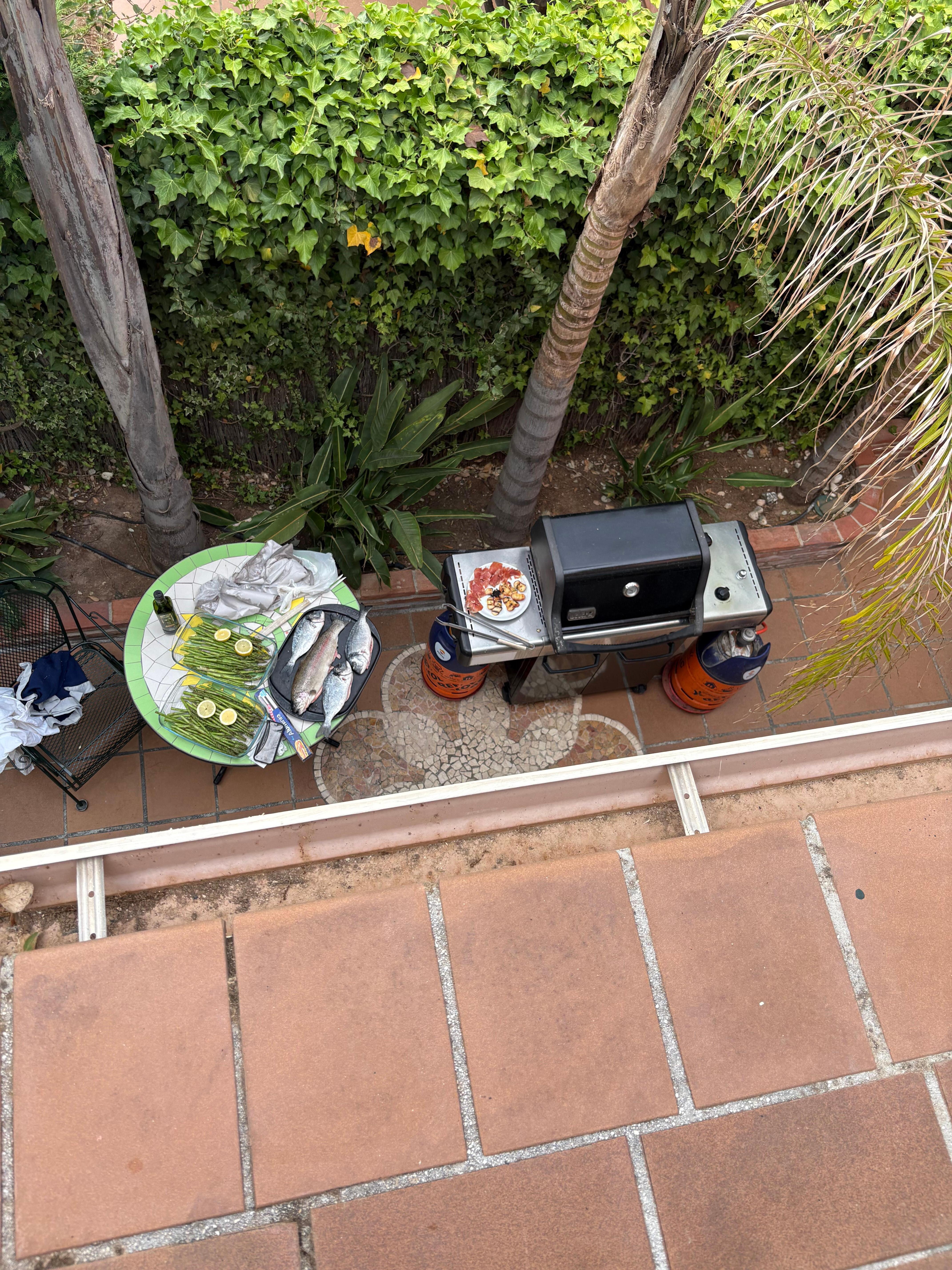 Dorado and rainbow trout on the gas grill
