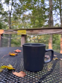 Morning bliss in the back deck