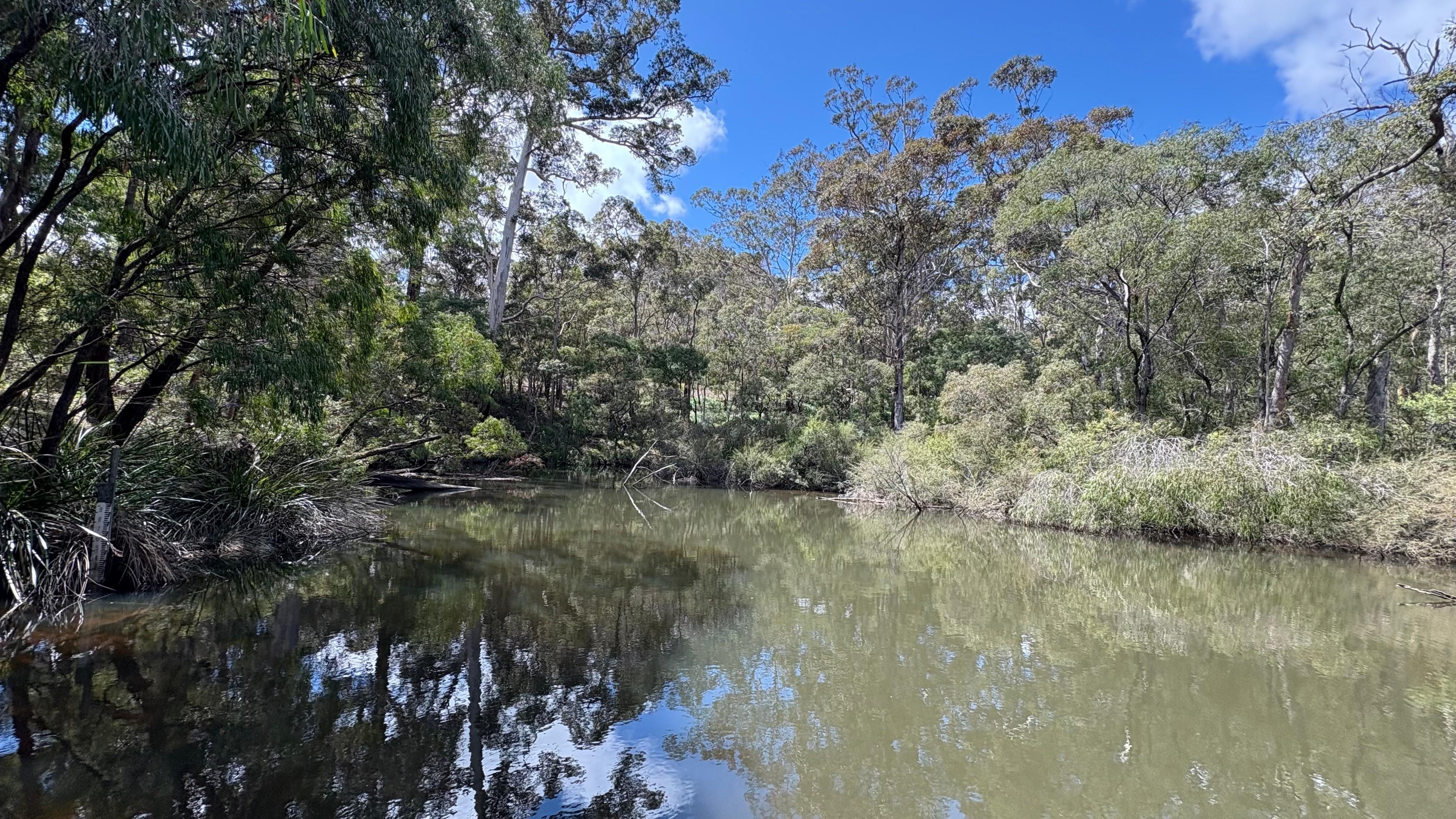 Margaret River, on a walk into town