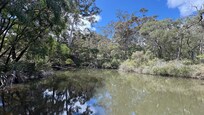 Margaret River, on a walk into town
