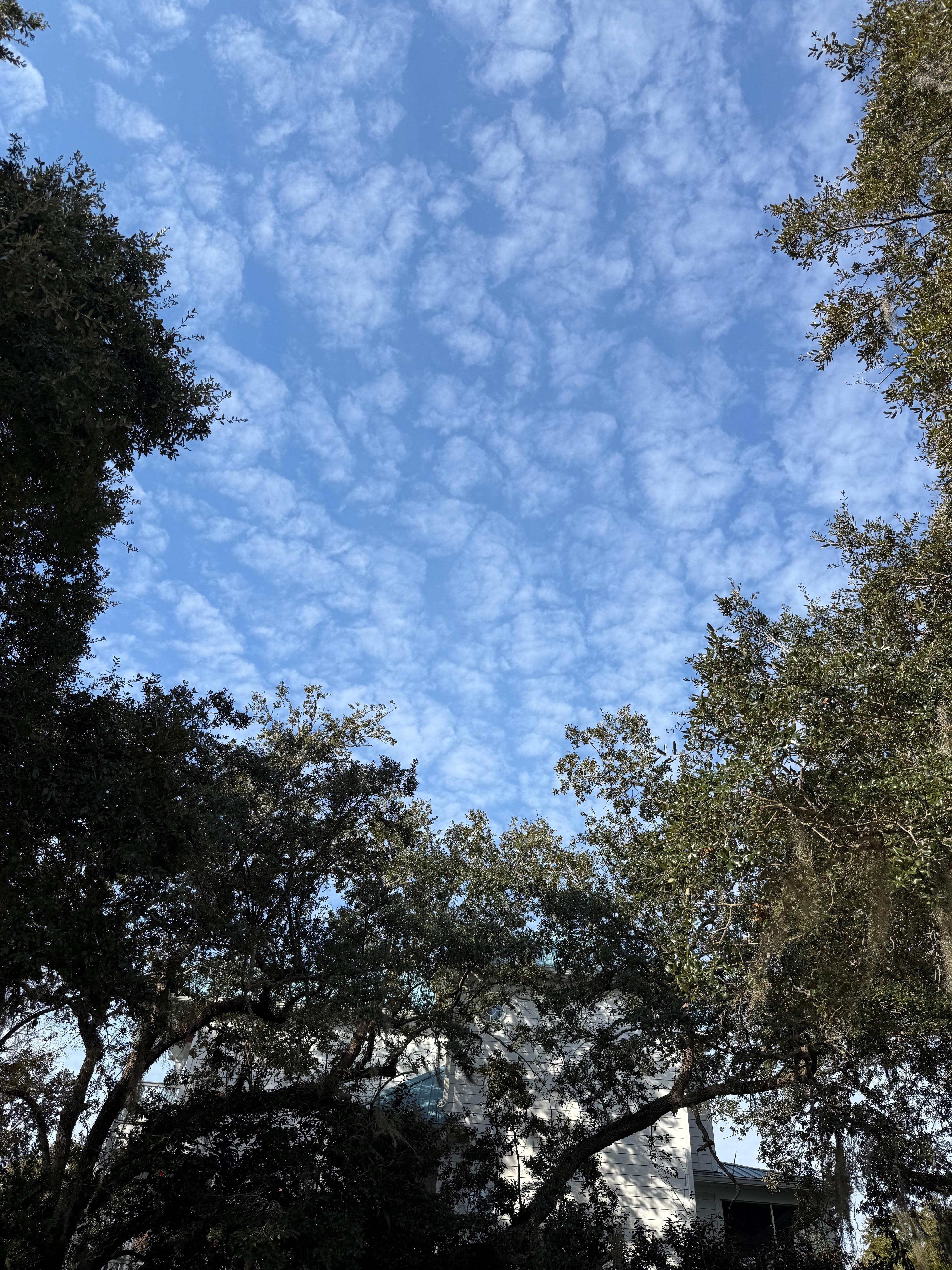 Sky view from the yard