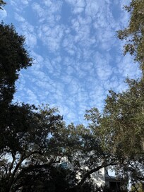 Sky view from the yard