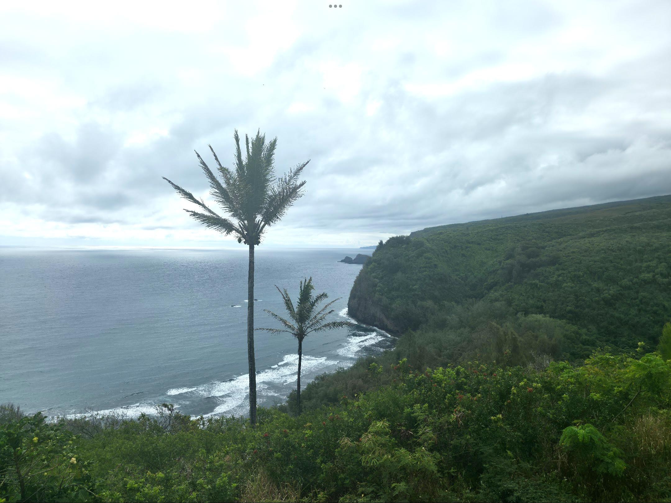 Pololu Valley hike-1.5 hrs top to bottom and back. 
Be aware trail has steep areas.  Limited parking.  Scenic.  Keokea beach park nearby, great for picnic.  Statue of King Kamehameha and recommend eating lunch at Gill’s Lanai for fish tacos in Kapaau
