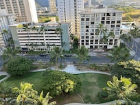 公園、ニワトリが賑やか