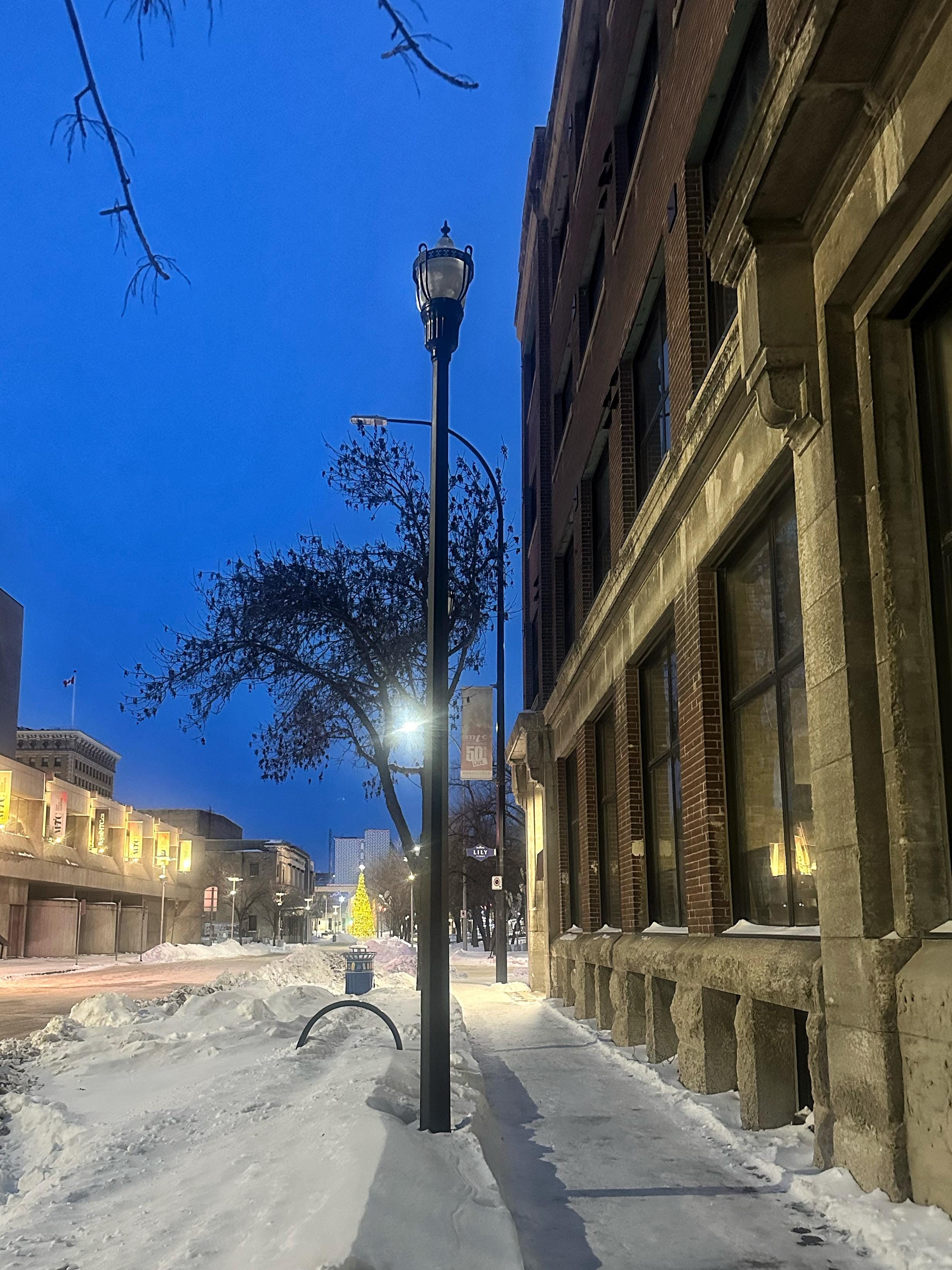 Christmas on Market Ave.