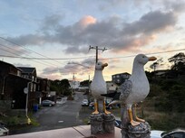 From the outdoor balcony