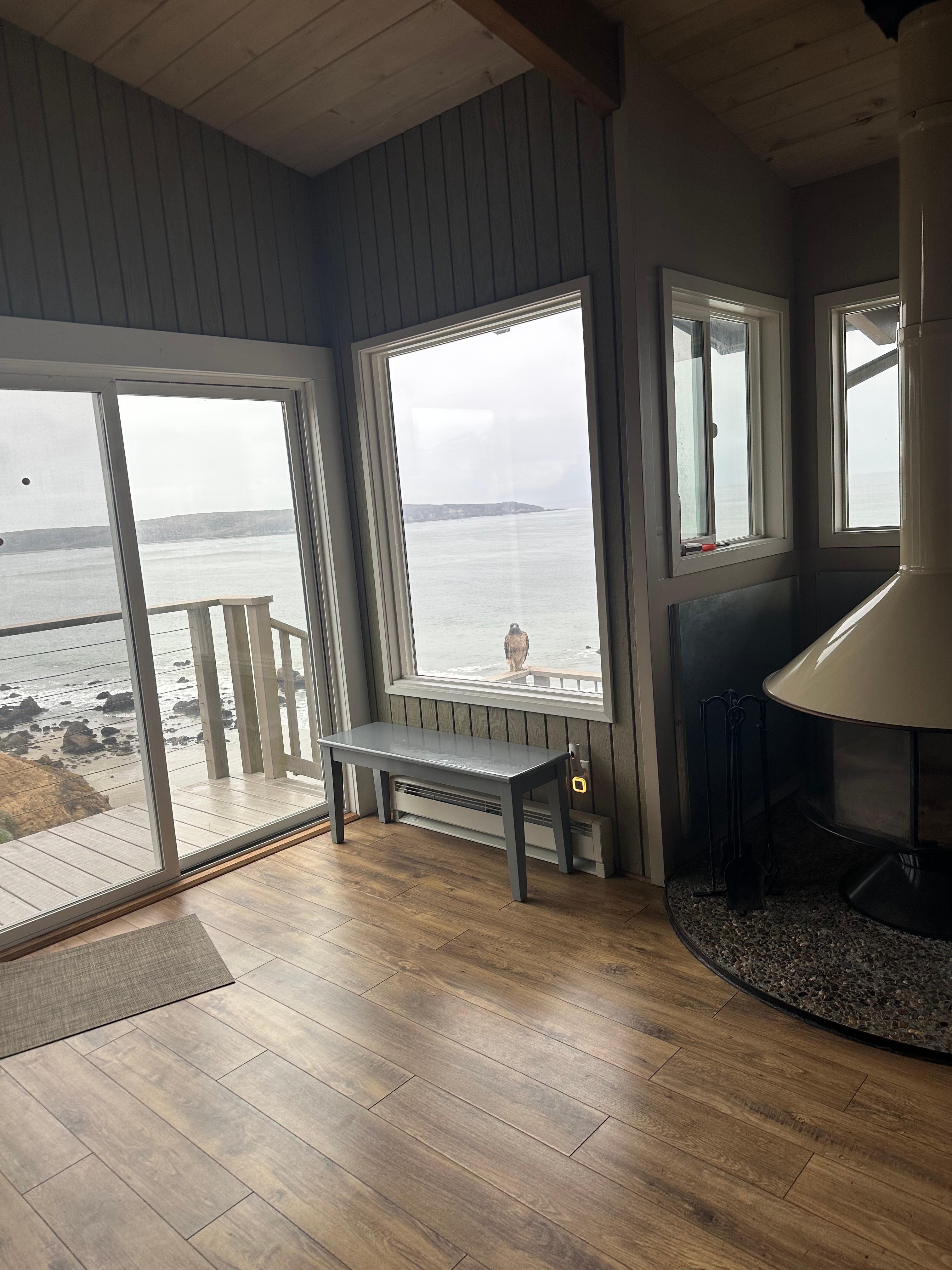 Side picture of the deck where I would sit with the female red tail hawk and drink coffee!