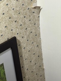 Wall paper peeling