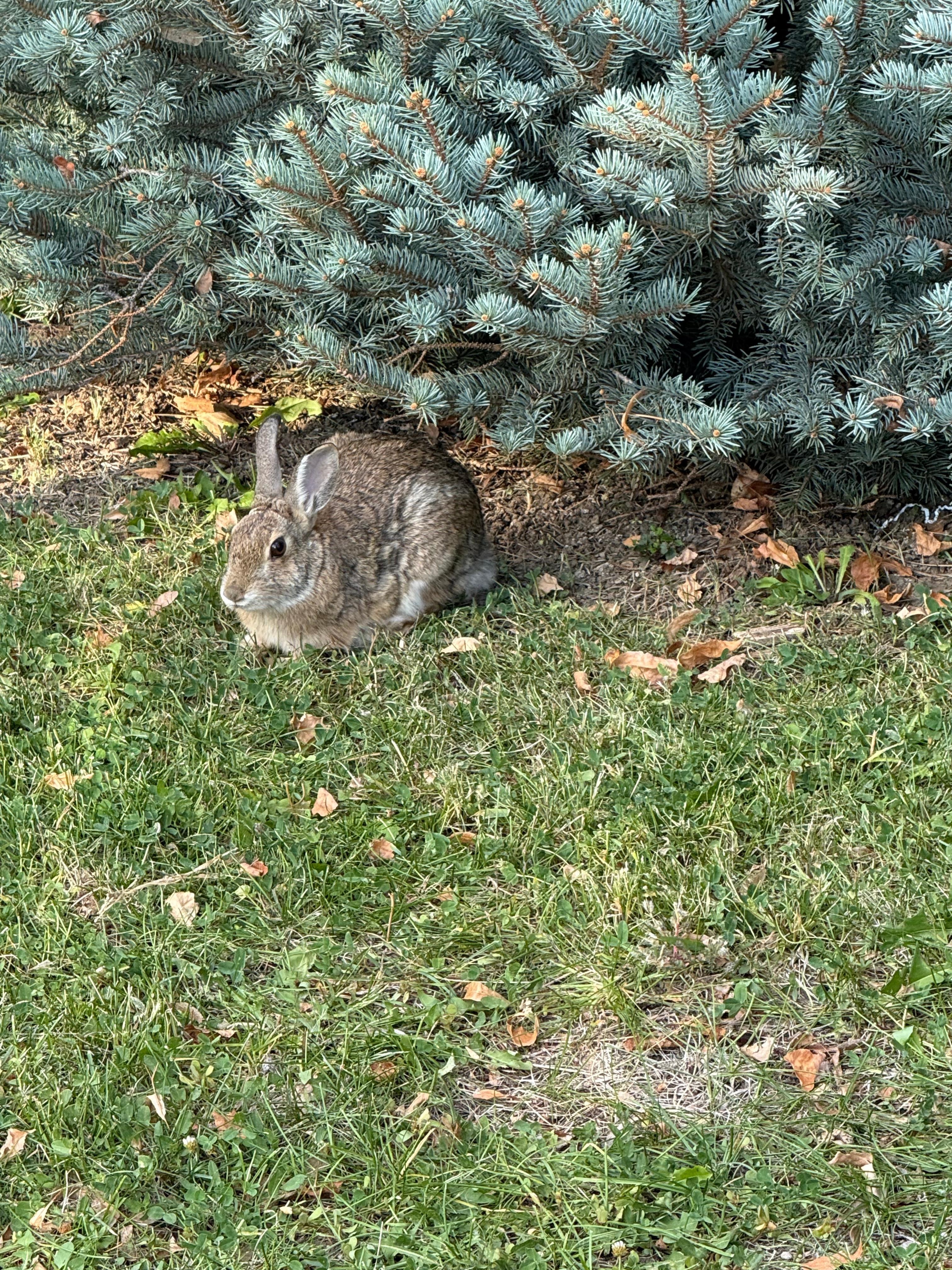 Just one of the few visitors we had