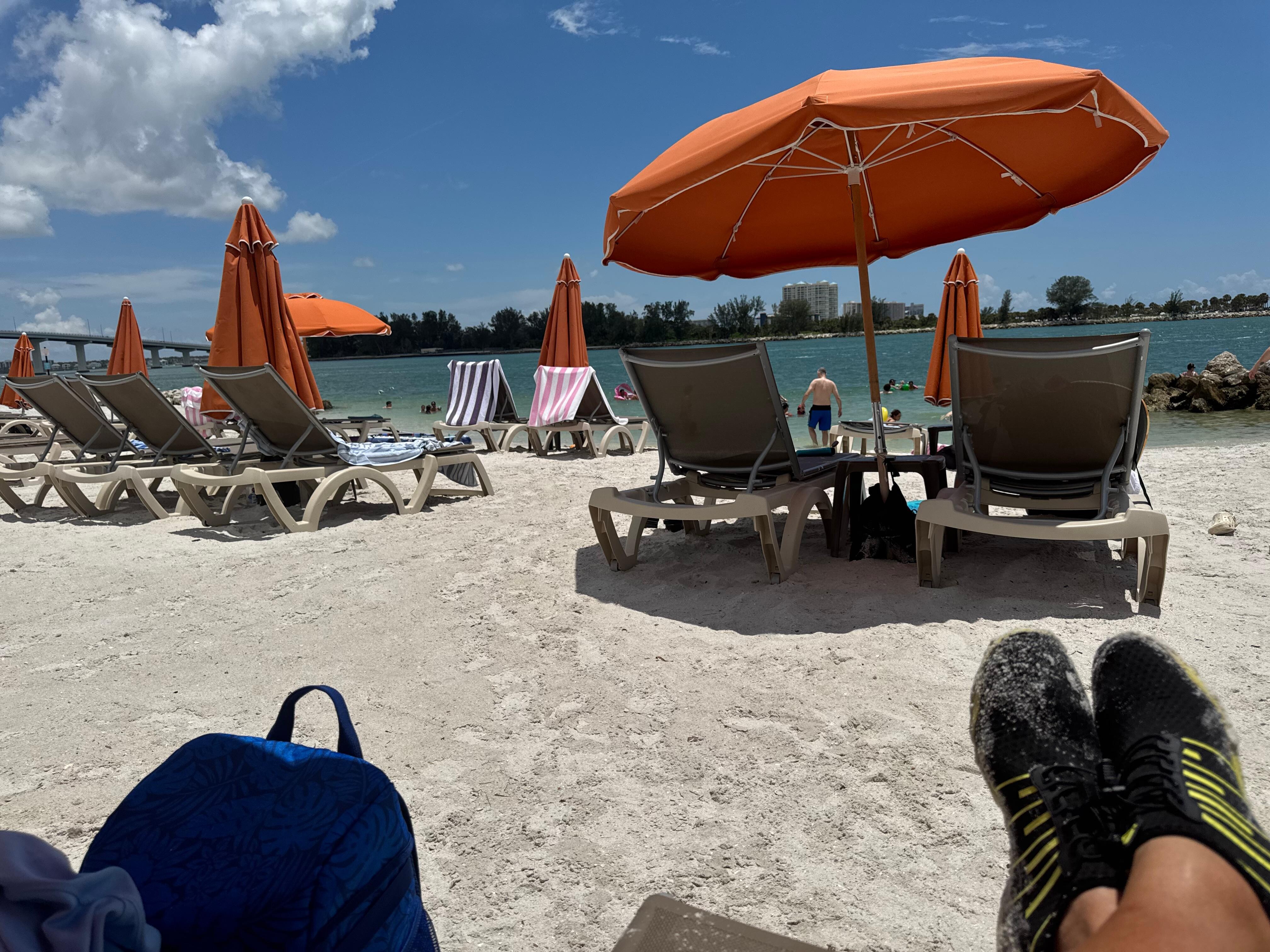 view from my beach chaise lounge under my umbrella! 