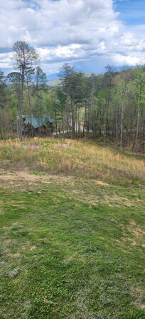 View from back deck