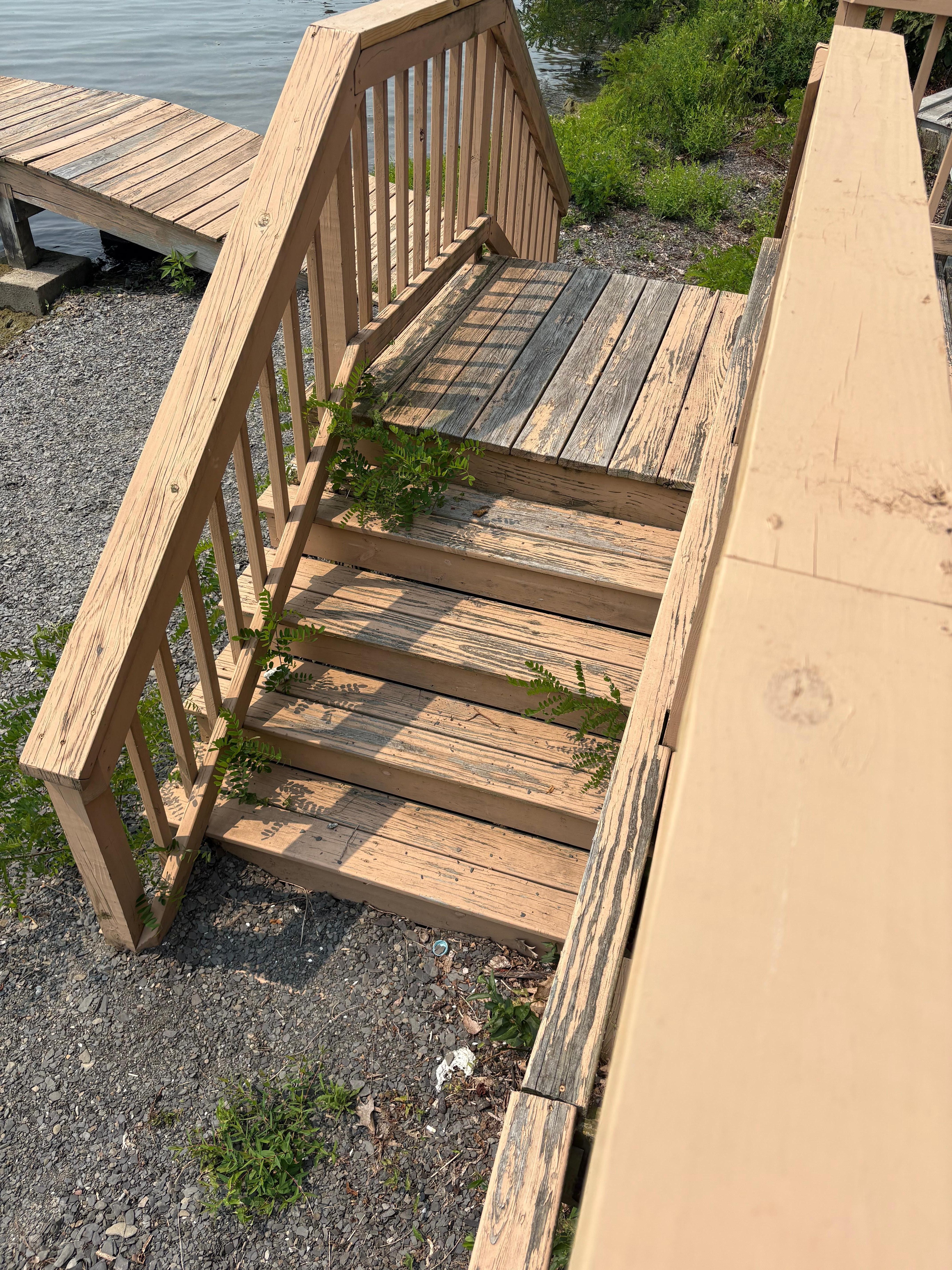 Weeds growing through deck step