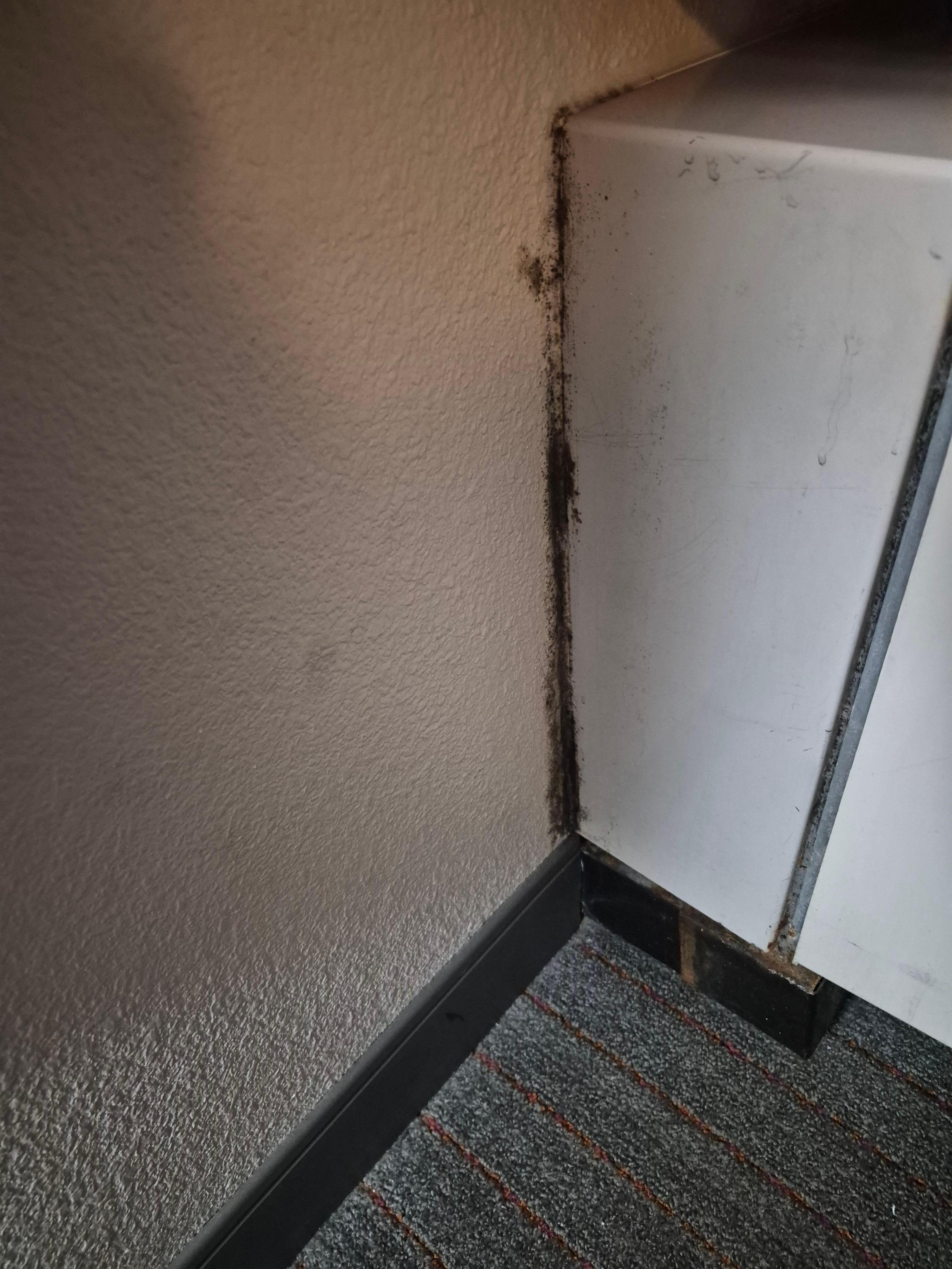 Mold by air conditioner 