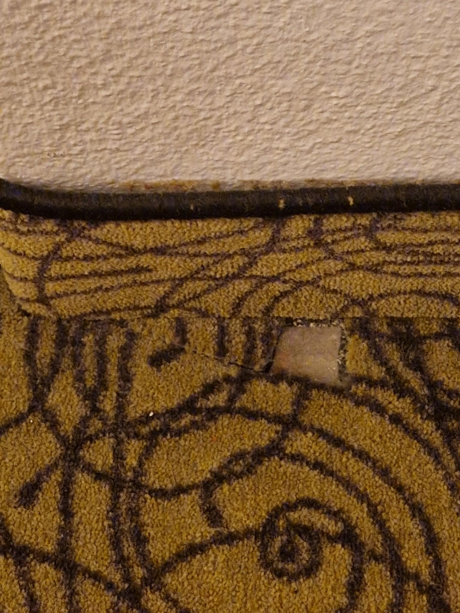 Holes in carpet in Superior room.
