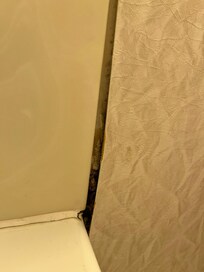 Mildew/Mold and peeling wallpaper in Master Bath