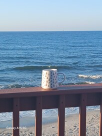 Morning view