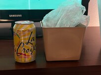 The mini ice bucket