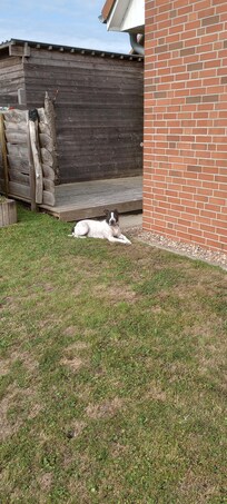 Der Garten war für unseren Hund genau richtig.