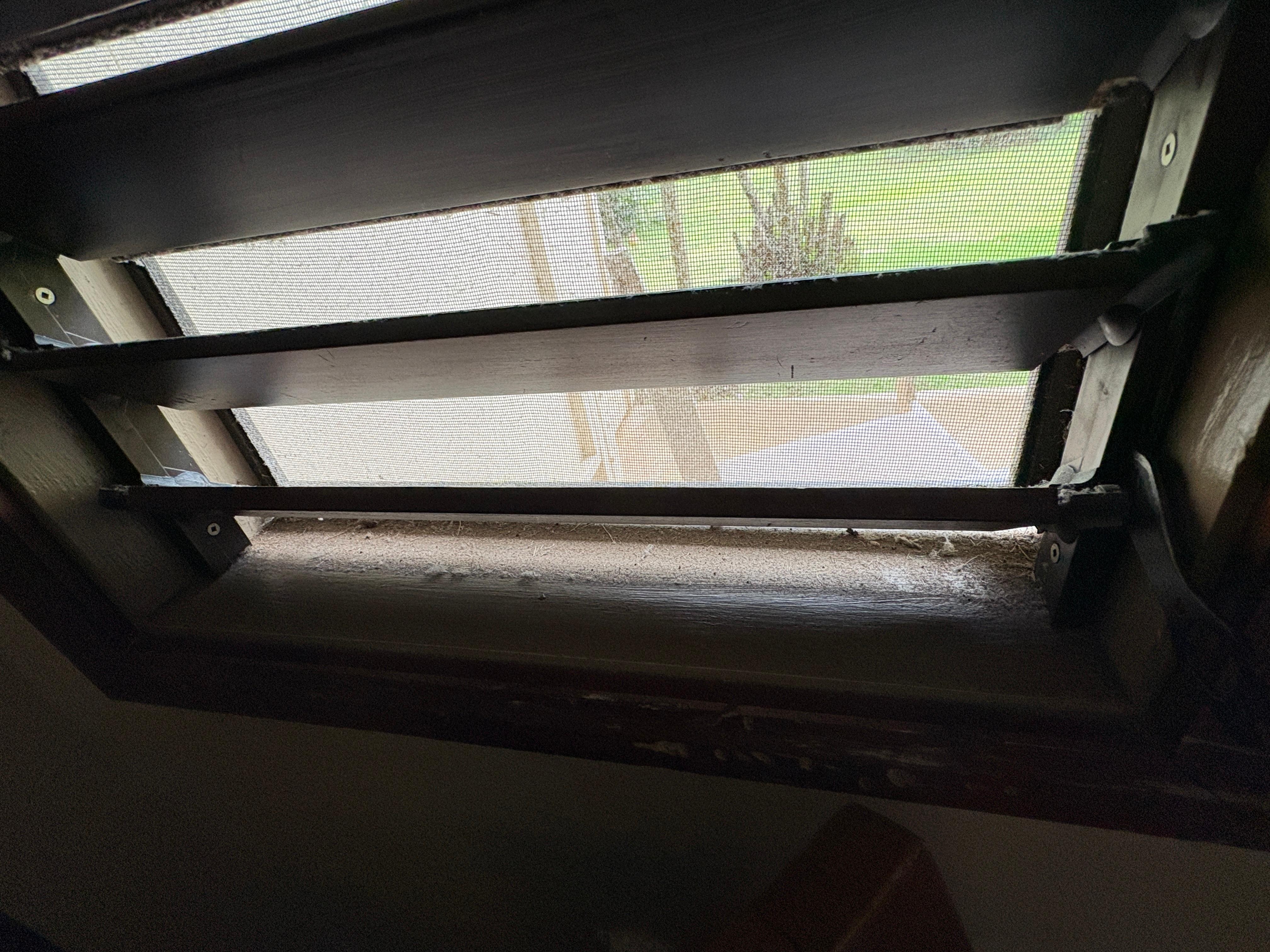 Thick layer of dirt on blinds & windowsill 