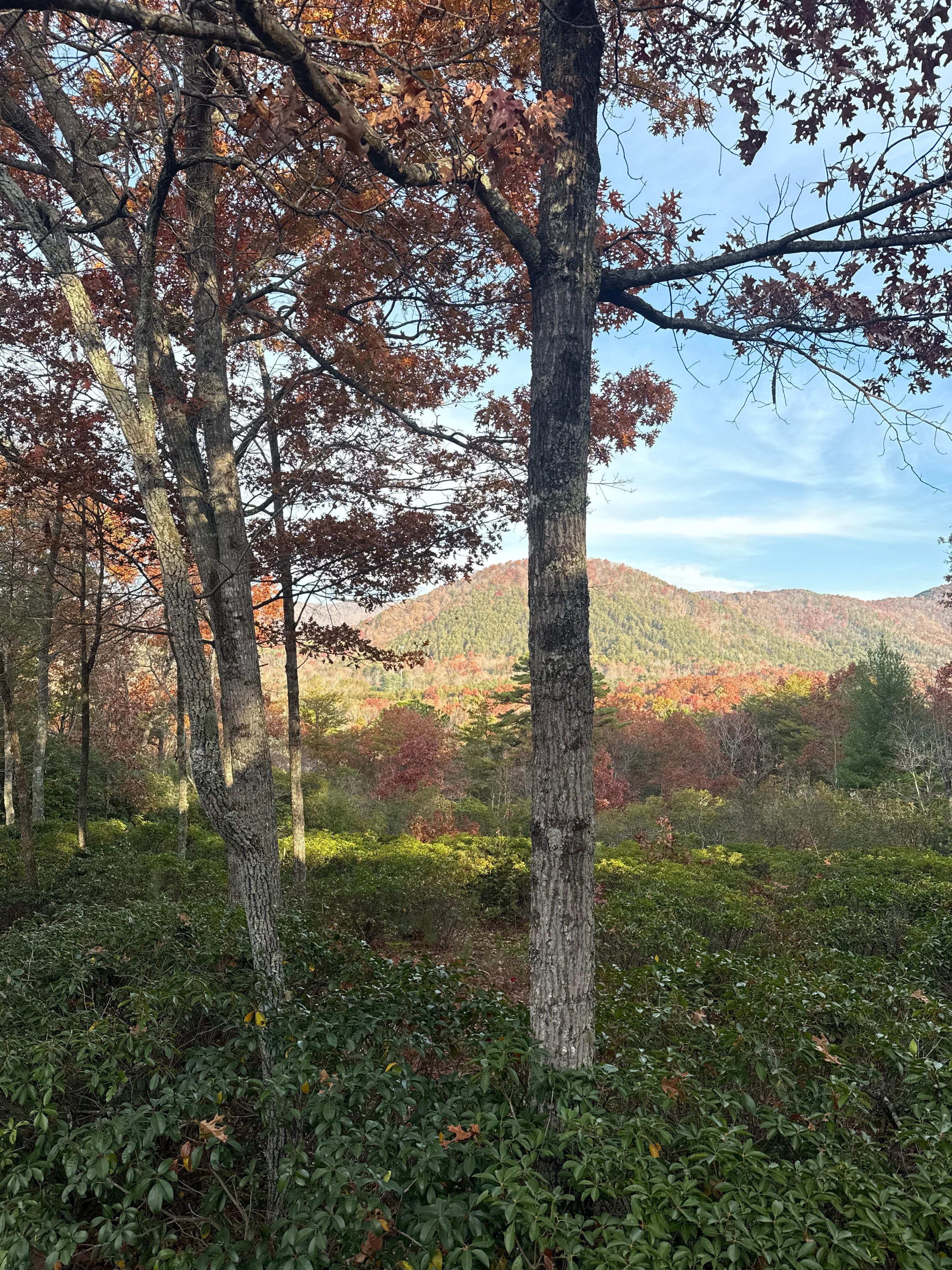 View from front porch