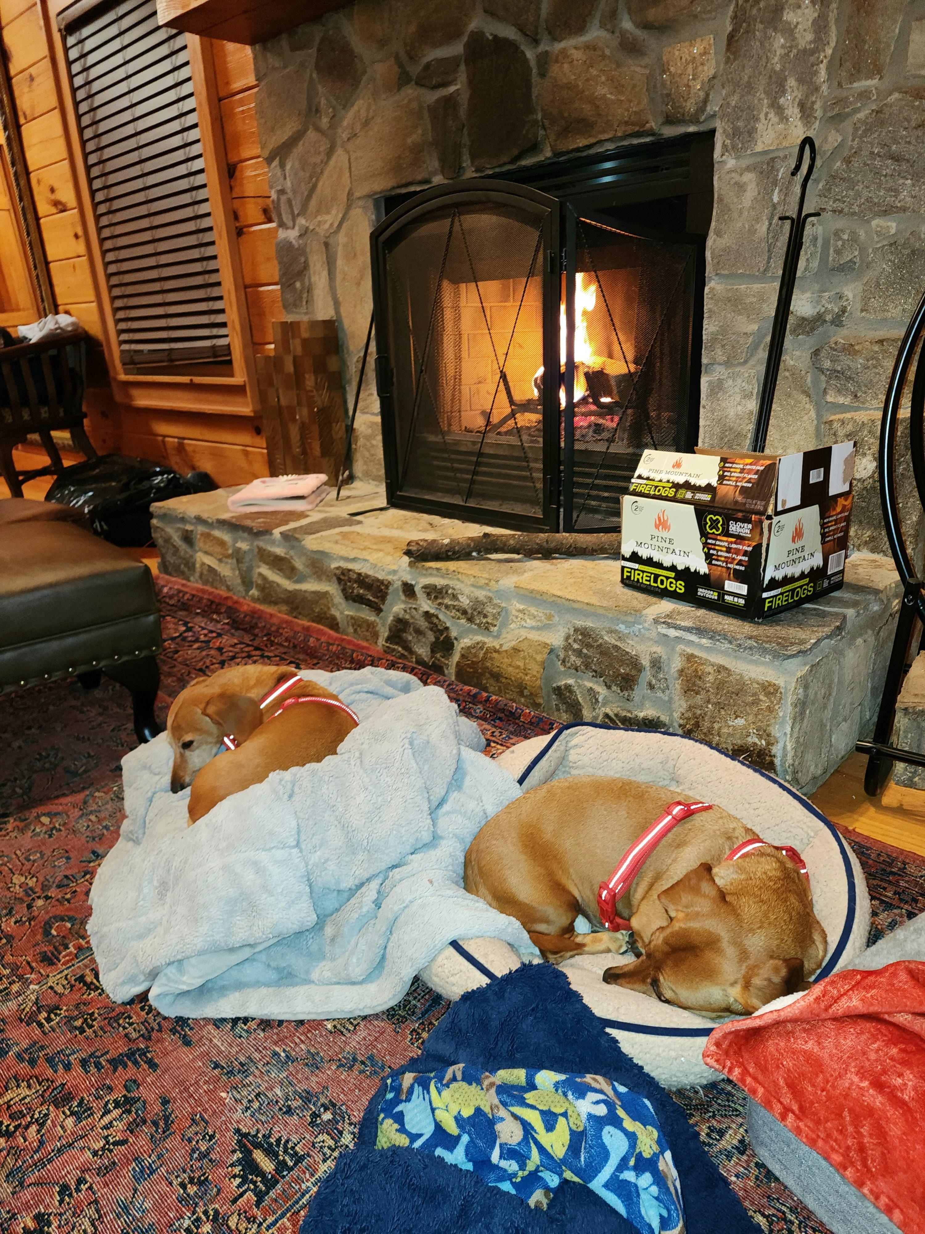 Nothing better than getting cozy by the fire! 