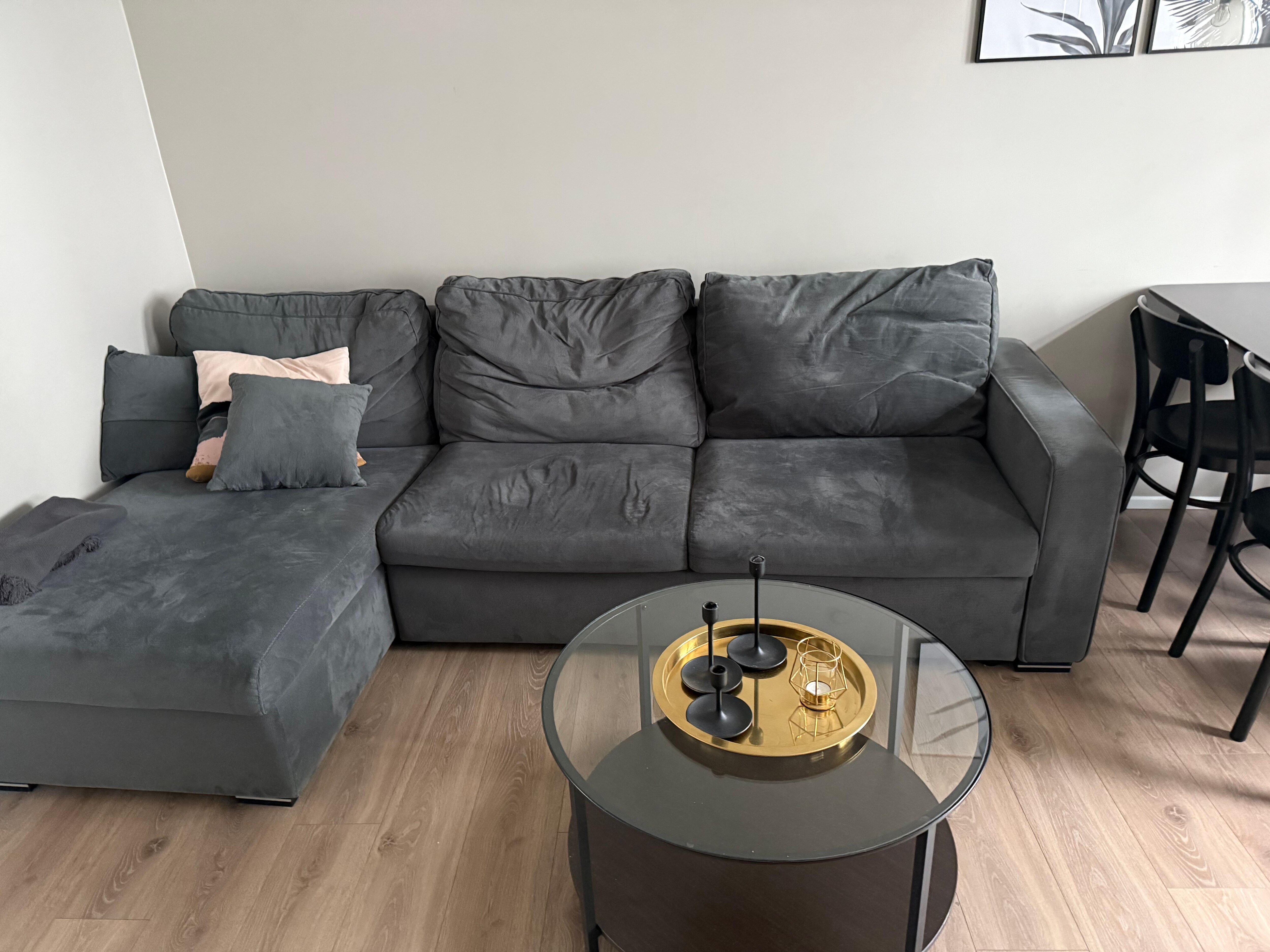 Living room with queen pullout sofa