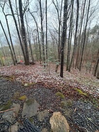 Iced ground. Just beautiful