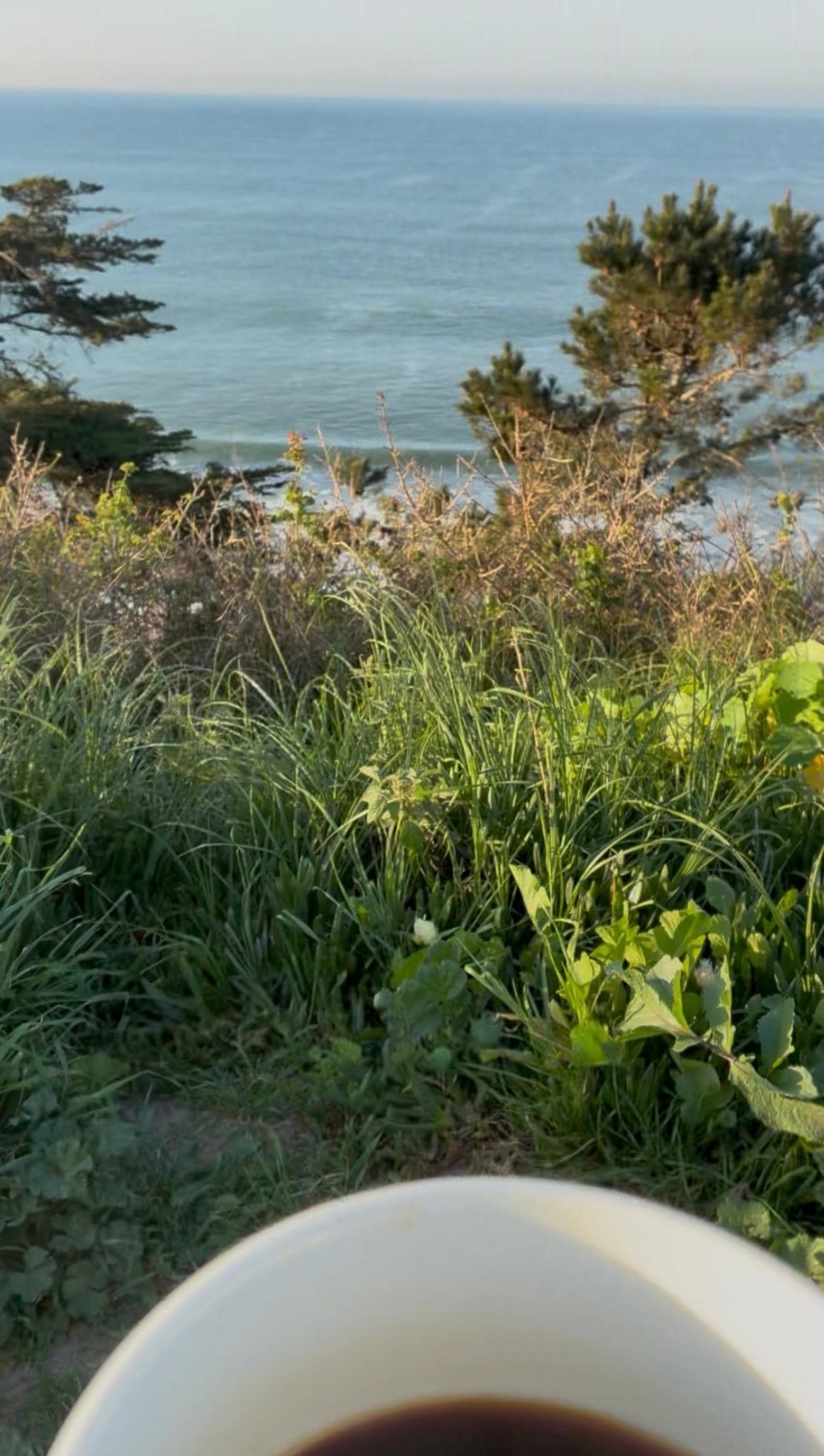 My favorite– how easy it was to enjoy the view. I crossed the quiet street, sat in the overlook bench, and drank my coffee against the GORGEOUS panorama. I should have more pictures but I was in the moment.