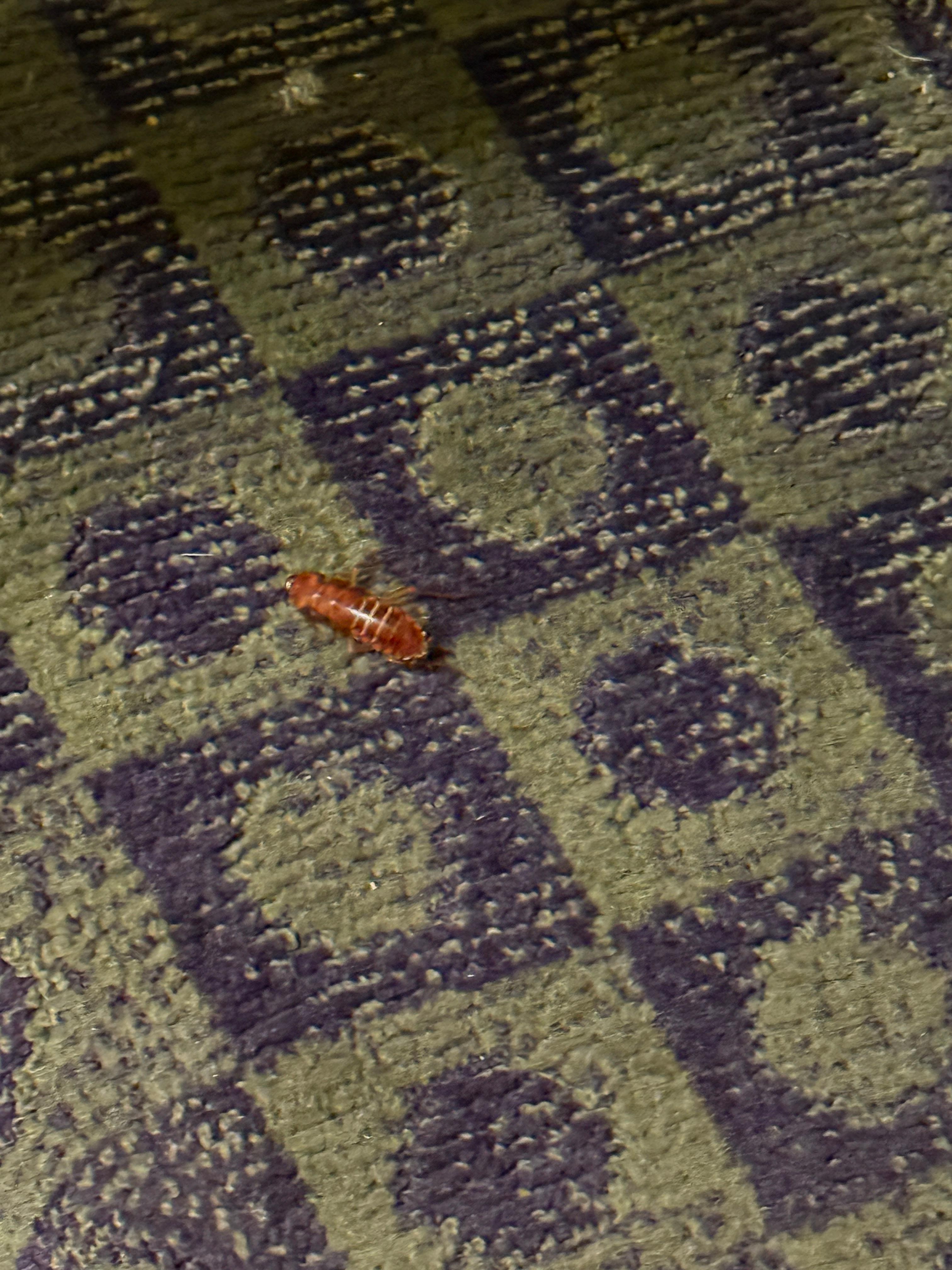 Roach in the stairwell. 