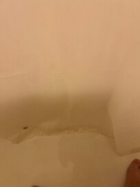 Mold lined the bottom of the shower liner