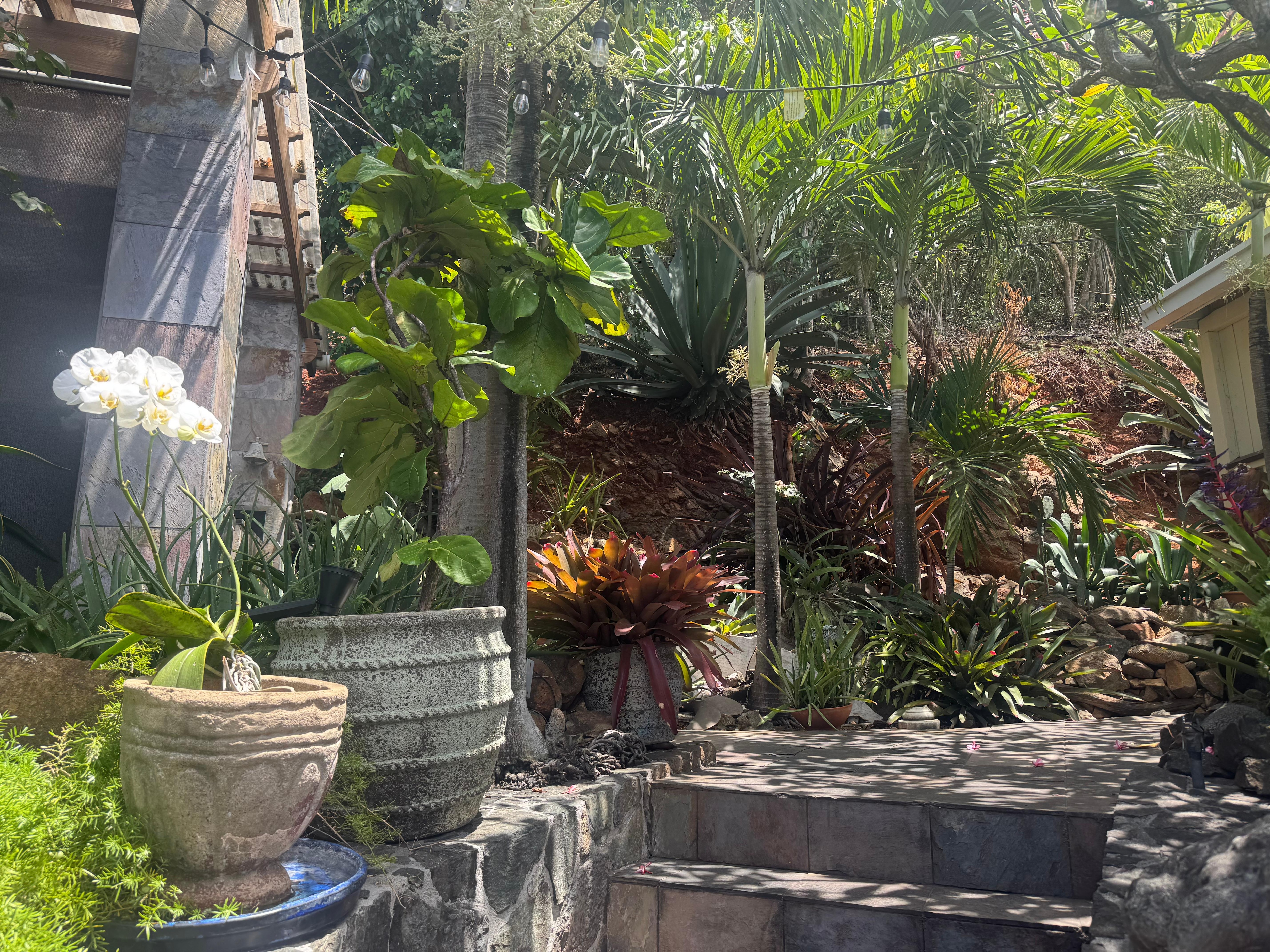Pretty garden