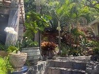 Pretty garden