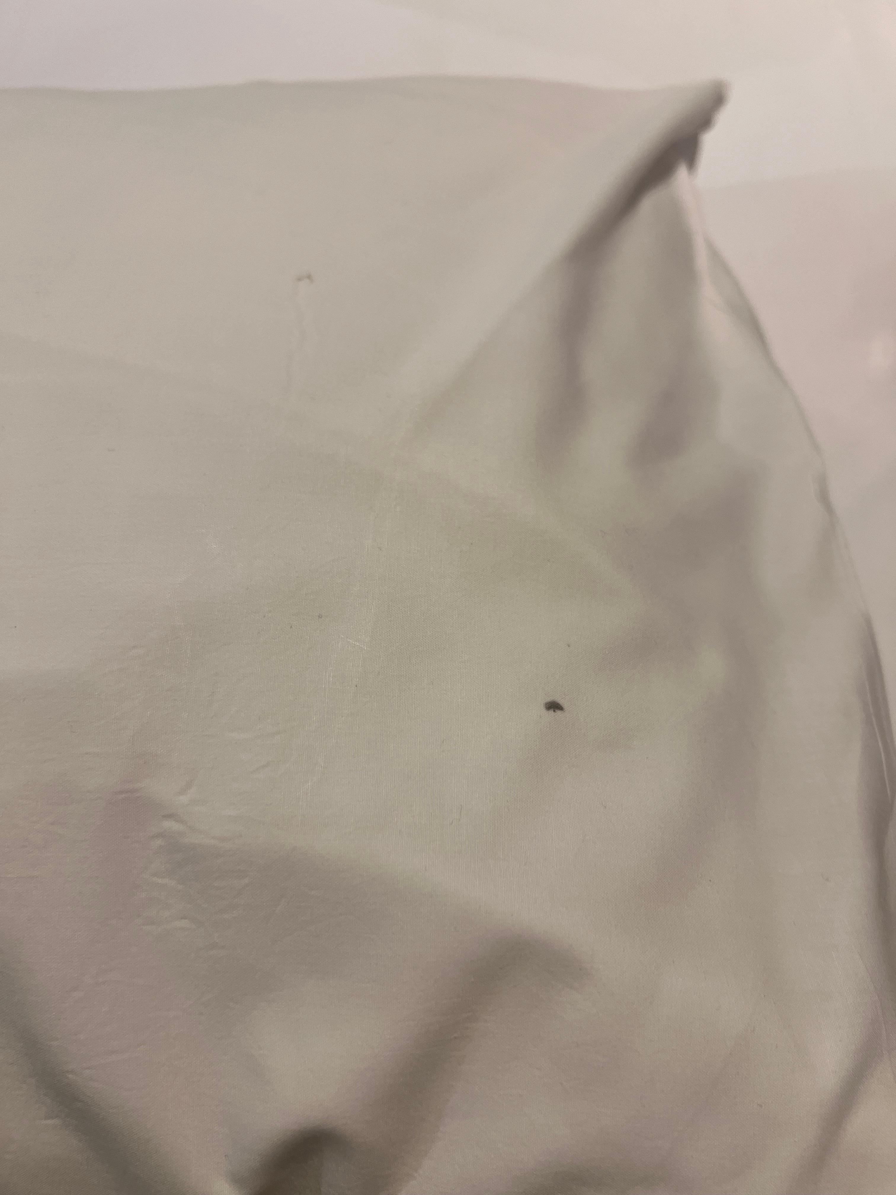Marks on the pillow on the night I checked in when the room was supposed to have been cleaned 