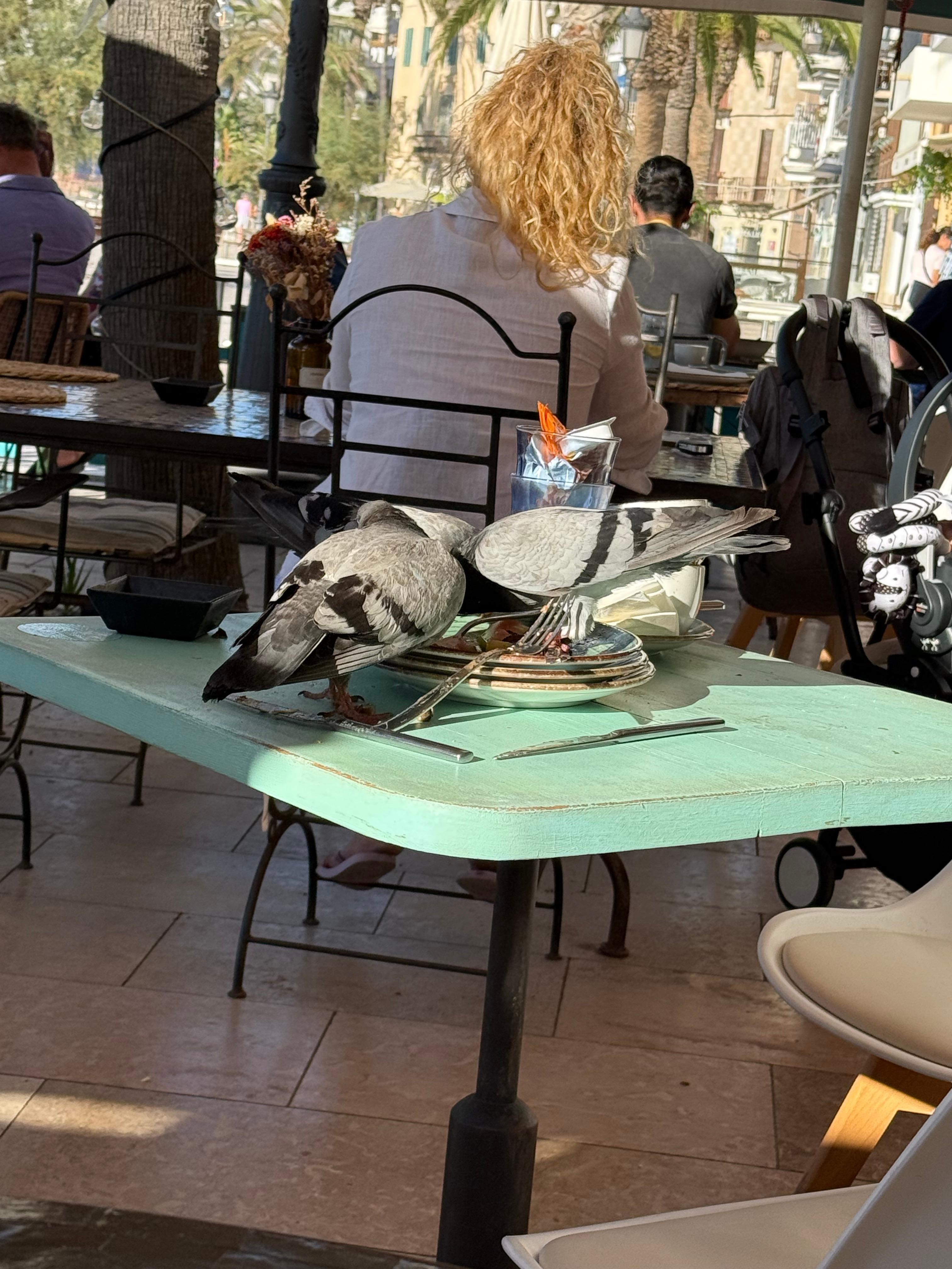 Morning entertainment at breakfast 