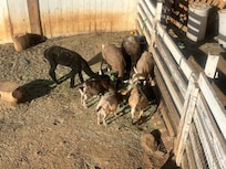 Each of these babies are named, and loved so well.