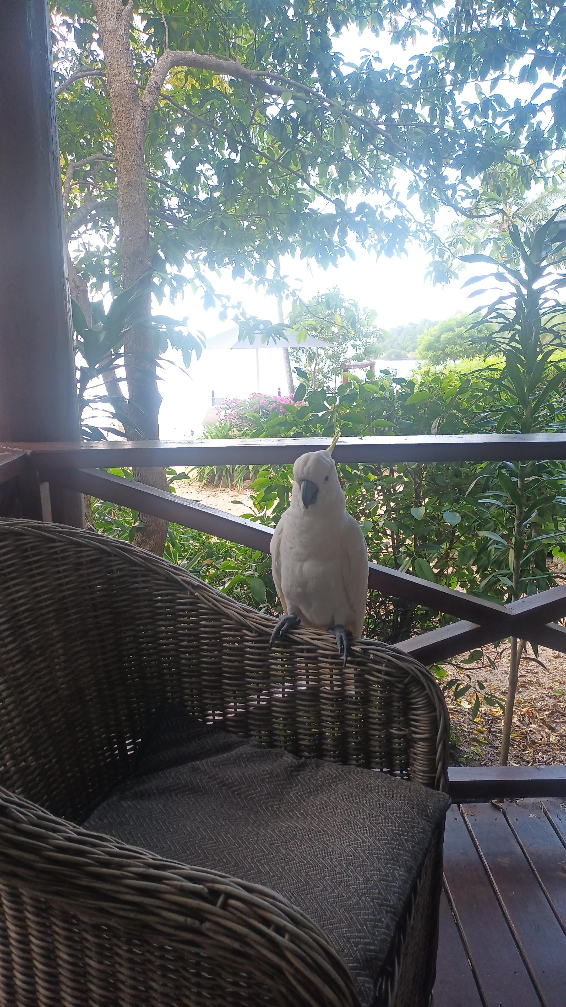 Wildlife on your doorstep