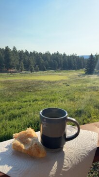 Back yard views and morning coffee.