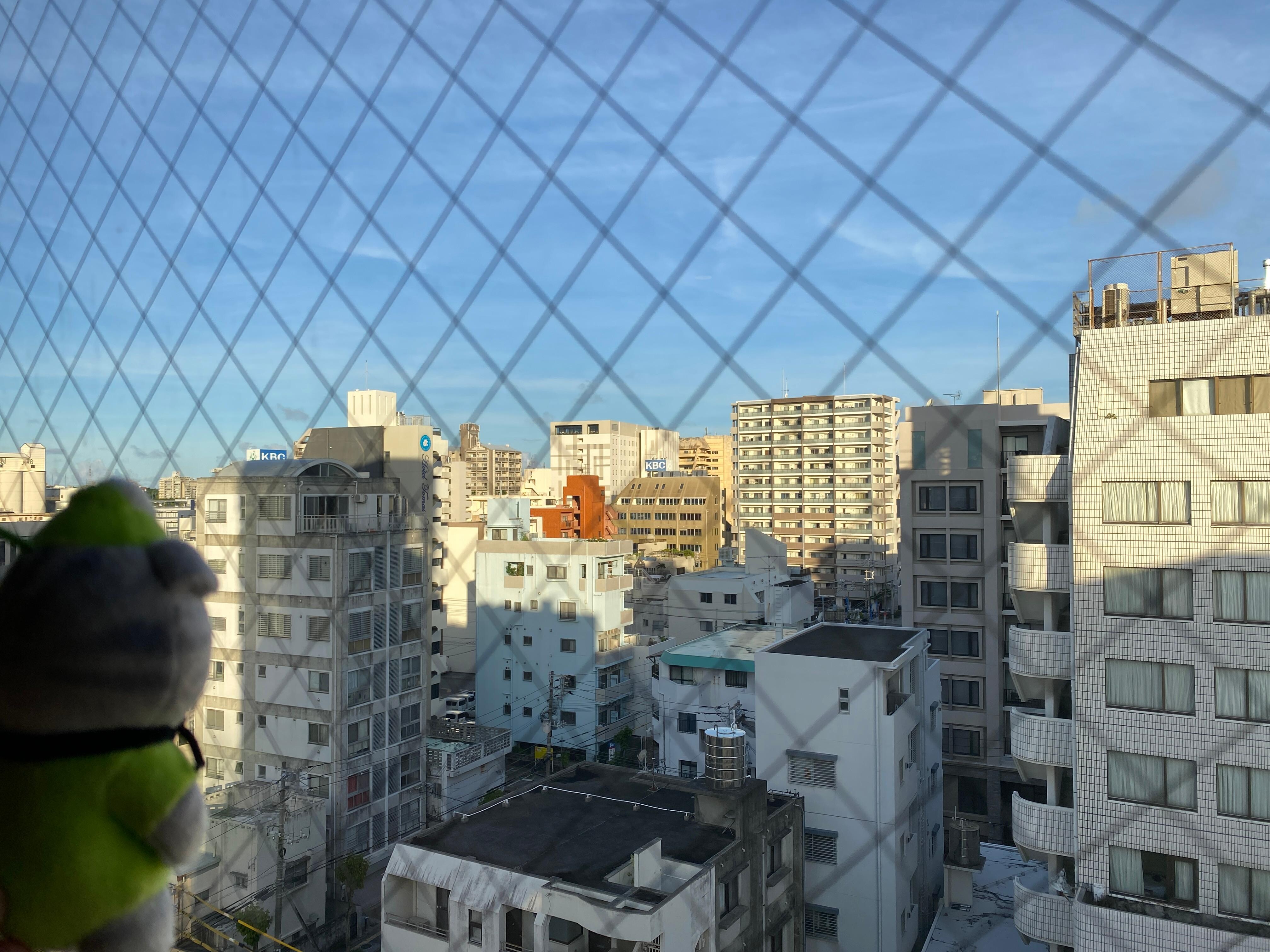 眺めはよい