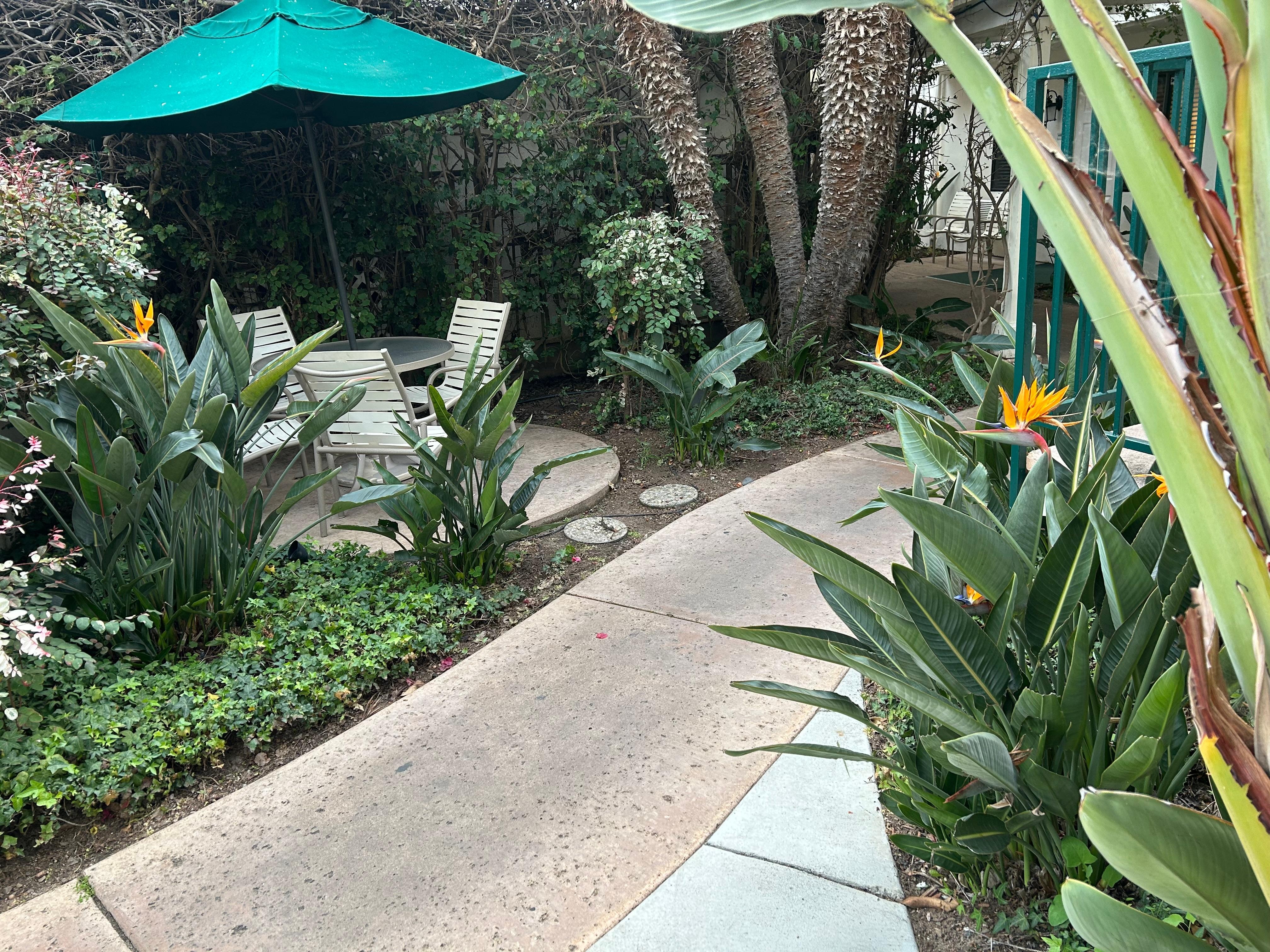 Lots of small areas to sit in and enjoy the gardens 