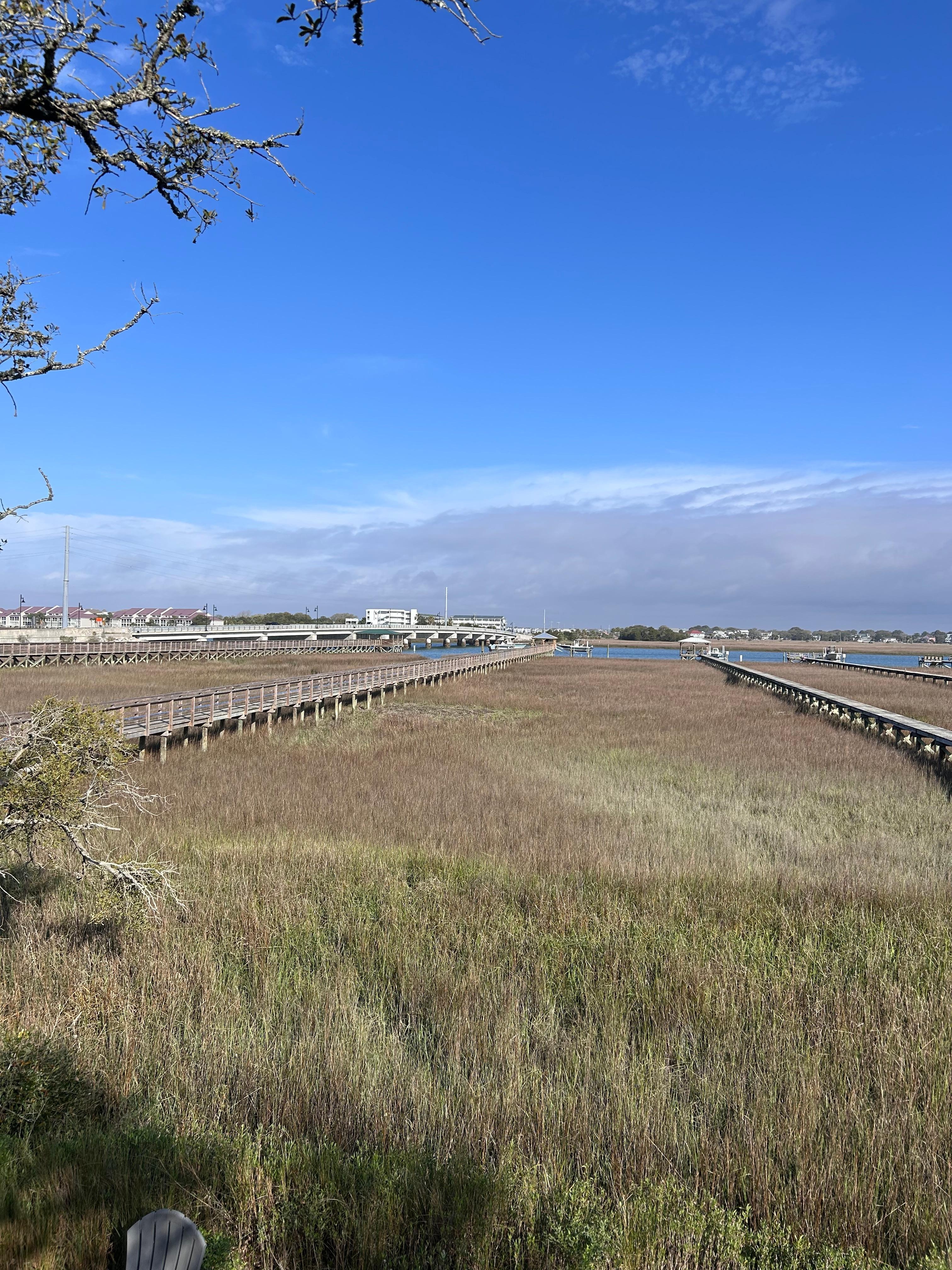 View from the living room.