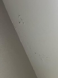 Paint peeling