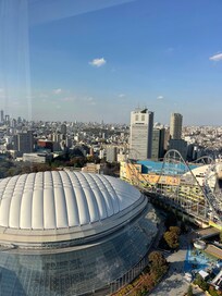 View from bedroom window