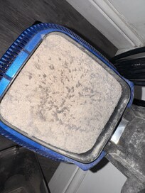 Lots of dust on the vacuum filter indicating why it probably doesn’t suck as much dog hair up as required