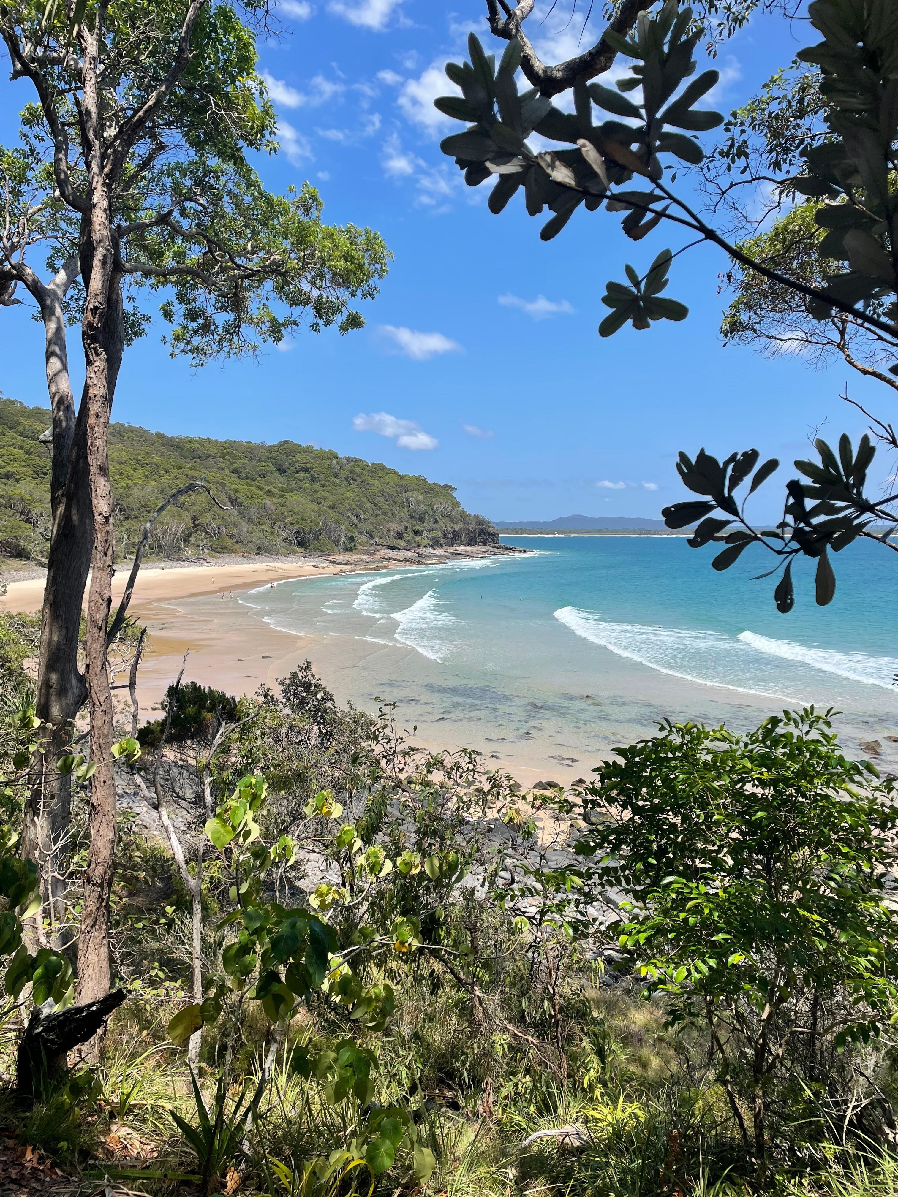 Noosa national park trail 