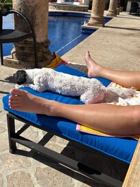 On the back patio. We always forget to take pictures.